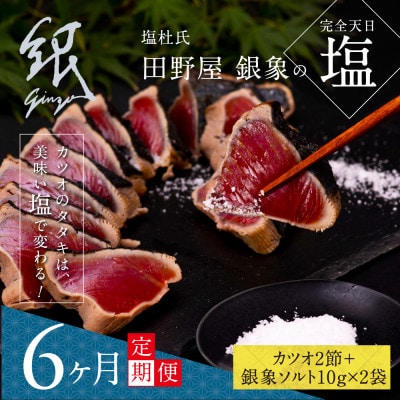 【毎月定期便】極カツオのたたき(6～7人前)田野屋銀象ソルト(天日塩)付【t080kgp】全6回