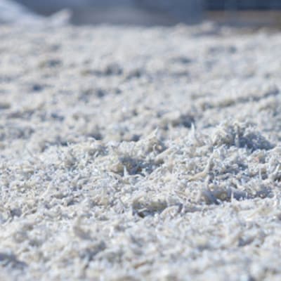 釜あげちりめん1.5kgセット(500g×3袋)タレなし【AKS010】