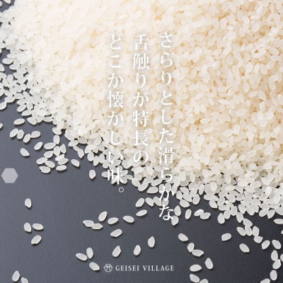 令和7年産 芸西米コシヒカリ10kg【KNK013-R7】