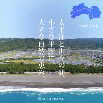 令和7年産 芸西米コシヒカリ15kg【KNK014-R7】