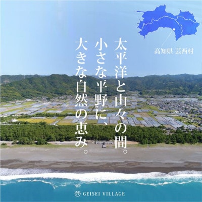 令和8年産 芸西米コシヒカリ15kg【KNK014-R8】