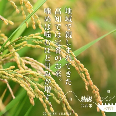 令和8年産 芸西米コシヒカリ10kg【KNK013-R8】