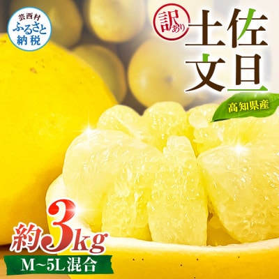 【訳あり】土佐文旦 家庭用 (M～5L混合サイズ) 約3kg 大玉入り【TSM001】