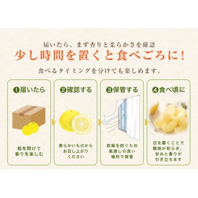 【訳あり】土佐文旦 家庭用 (M～5L混合サイズ) 約3kg 大玉入り【TSM001】