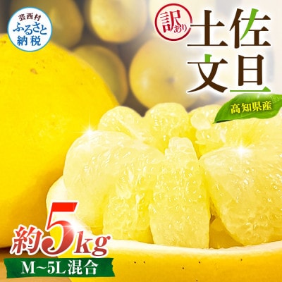 【訳あり】土佐文旦 家庭用 (M～5L混合サイズ) 約5kg 大玉入り【TSM002】