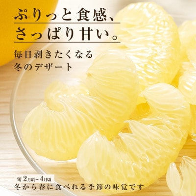 【訳あり】土佐文旦 家庭用 (M～5L混合サイズ) 約5kg 大玉入り【TSM002】