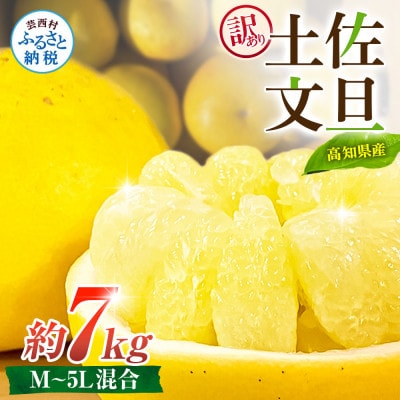 【訳あり】土佐文旦 家庭用 (M～5L混合サイズ) 約7kg 大玉入り【TSM003】