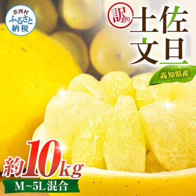 【訳あり】土佐文旦 家庭用 (M～5L混合サイズ) 約10kg 大玉入り【TSM004】