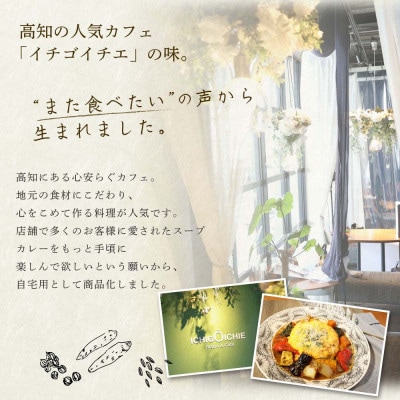 土佐あかうし使用 本格スープカレー 1食セット レトルト 牛骨スープ仕立て【VEL001】