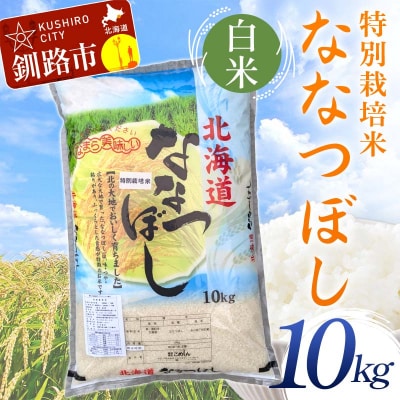 【令和7年産】【新米】 特別栽培米ななつぼし 10kg 白米 北海道産 米 コメ F4F-9714