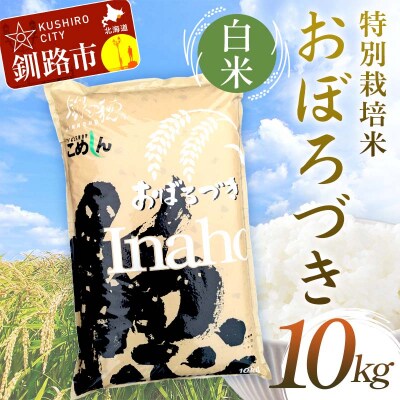 【令和7年産 】 【新米】 特別栽培米おぼろづき 10kg 白米 F4F-9792