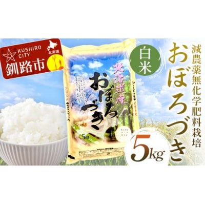 令和7年度産・新米 減農薬9割減 ・ 化学肥料不使用おぼろづき 5kg 白米 F4F-9428