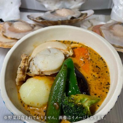 特大ホタテのスープカレー 2種4袋(270g/1袋) カレー レトルト 簡単調理 F4F-8228