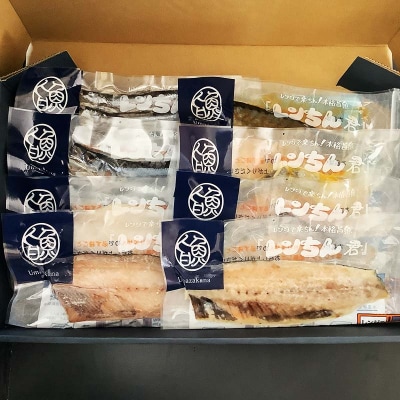 レンちん君8種セット ほっけ さんま かれい ししゃも さば たら にしん 鮭 F4F-8442