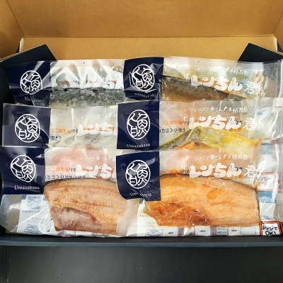 レンちん君漬魚6枚セット ほっけ さば さけ 鮭 秋鮭 西京漬 粕漬 釧路 北海道 F4F-8443