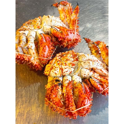 【茹でたて未冷凍】北海道産・ボイル花咲蟹4～7尾で3.0kg カニ 花咲がに F4F-8490