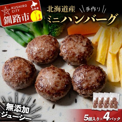 北海道産手作り ミニハンバーグ5個入り×4パック 無添加 ハンバーグ 牛肉 豚肉 F4F-8540