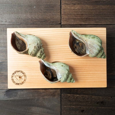 つぶ焼き 15個(5個入×3) つぶ下駄3個穴セット ツブ つぶ 海鮮 貝 F4F-8369