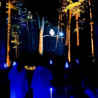 阿寒湖の森ナイトウォーク 入場券 大人2枚 F4F-8584