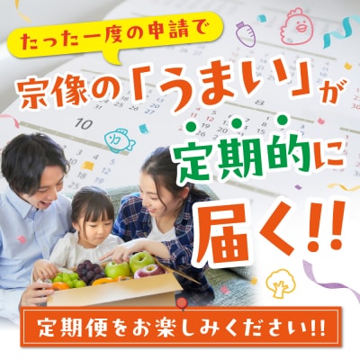 【年12回/毎月お届け】むなかたの魅力をたっぷりお届け!むなかた紅白定期便_HB0202