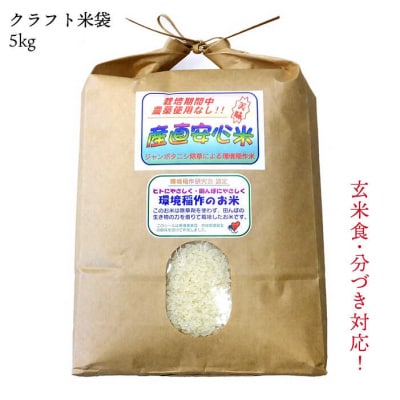 農薬使わない栽培!糸島産 夢つくし 5kg 玄米 分搗き 対応《糸島》[ABB025]