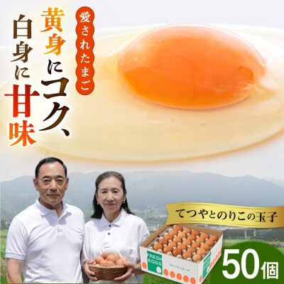 【50個】黄身にコク!白身に甘み!てつやとのりこの玉子 板垣ファーム [AWD002]