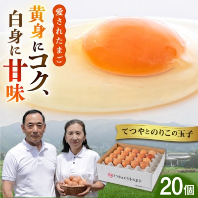 てつやとのりこの玉子 【 20個 】 糸島市/板垣ファーム 卵 たまご[AWD015]