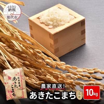 玄米 農家直送!秋田県産 あきたこまち 10kg[No.5335-0184]