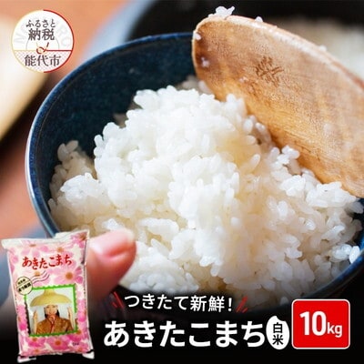 白米 つきたて新鮮!秋田県産 あきたこまち 10kg[No.5335-0182]