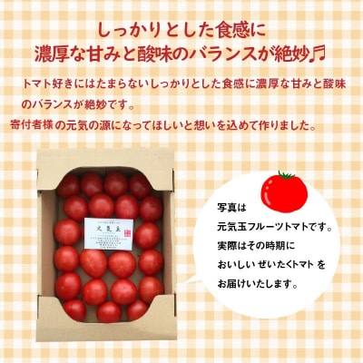 【2026年度事前受付】【お試し】期間限定!プレミアムフルーツトマト　H004-145