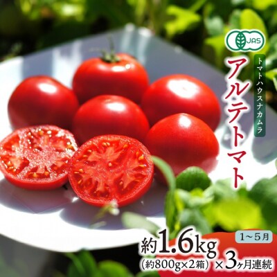 〈2026年1月～発送〉アルテトマト 約1.6kg(約800g×2箱)×3回定期便 フルーツトマト 