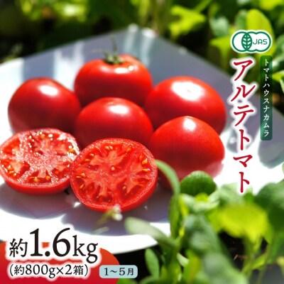 〈2026年1月より順次発送〉アルテトマト 約1.6kg(約800g×2箱) フルーツトマト