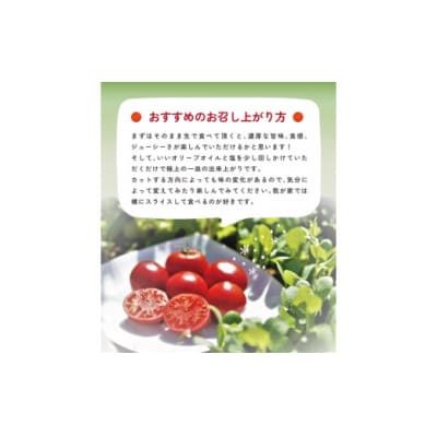 〈2026年1月より発送〉【3回定期便】アルテトマト 約800g(10‐16玉)×3箱