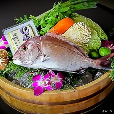 天然鳴門鯛「鯛しゃぶ」淡路野菜添え(1匹)