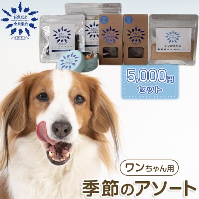 お魚だよ全員集合　季節のアソートセット 5,000円セット　ワンちゃん用