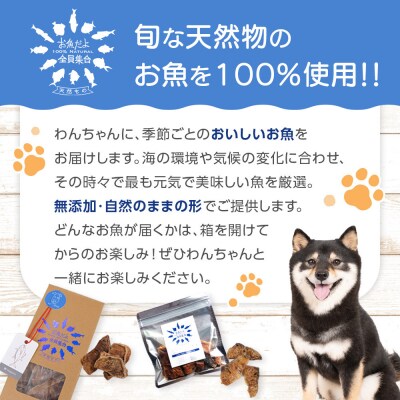 お魚だよ全員集合　季節のアソートセット 5,000円セット　ワンちゃん用