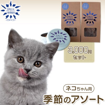 お魚だよ全員集合　季節のアソートセット 3,000円セット　ネコちゃん用