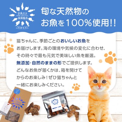 お魚だよ全員集合　季節のアソートセット 3,000円セット　ネコちゃん用