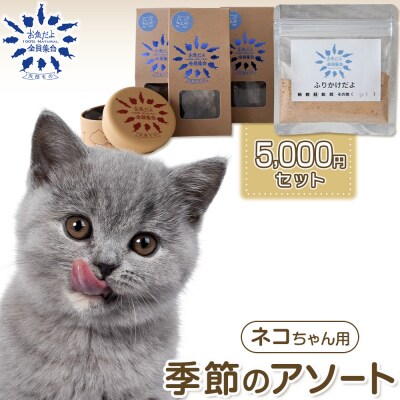 お魚だよ全員集合　季節のアソートセット 5,000円セット　ネコちゃん用