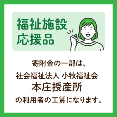 ★福祉施設応援品★ オリジナルクリアファイルセット(3枚入り) [204K02]