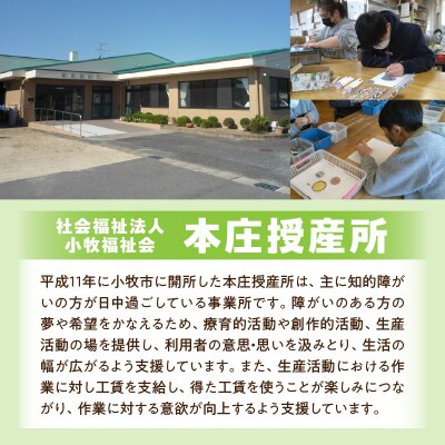 ★福祉施設応援品★ オリジナルクリアファイルセット(3枚入り) [204K02]