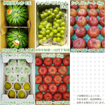 【2026年発送】果物定期便5回(すいか/シャインマスカット/りんご2種/洋梨)_H147(R8)