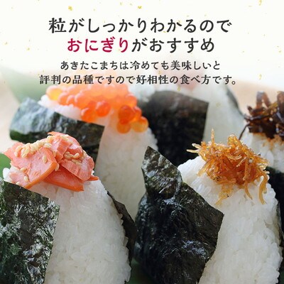 定期便3ヶ月 玄米 あきたこまち 杜の雫 10kg×3回[No.5335-1526]