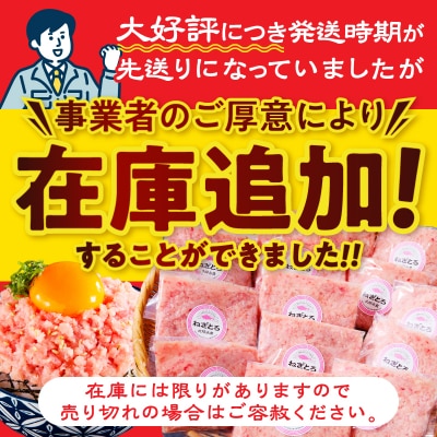 【2026年3月発送】焼津 マグロ ねぎとろ セット S4 ネギトロ(a12-150202603)