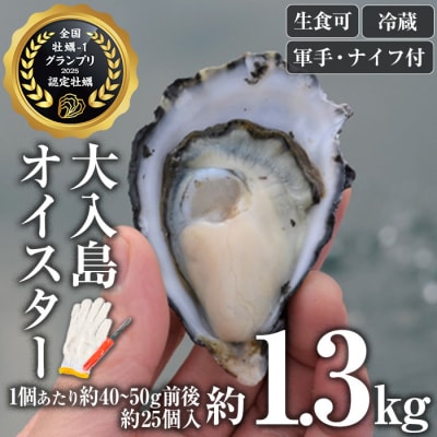 牡蠣1グランプリ最高金賞受賞!真ガキ 大入島オイスター<生食可・シングルシード養殖>(約1.3kg)