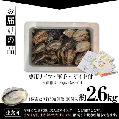 牡蠣1グランプリ最高金賞受賞!真ガキ 大入島オイスター<生食可・シングルシード養殖>(約2.6kg)