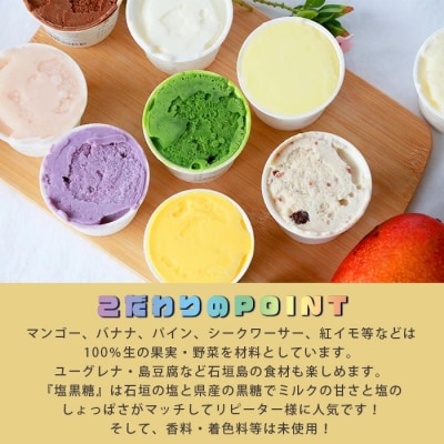 石垣島ミルミル本舗 南の島から島素材ジェラート!【沖縄セット 12個入り】