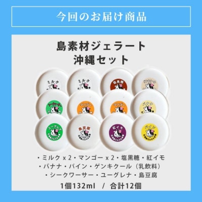 石垣島ミルミル本舗 南の島から島素材ジェラート!【沖縄セット 12個入り】