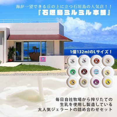 石垣島ミルミル本舗 南の島から島素材ジェラート!【定番人気セット 12個入り】