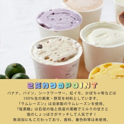 石垣島ミルミル本舗 南の島から島素材ジェラート!【定番人気セット 12個入り】